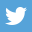 icon twitter small